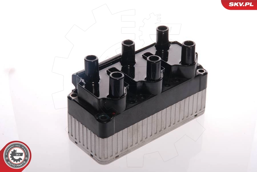 Ignition Coil
